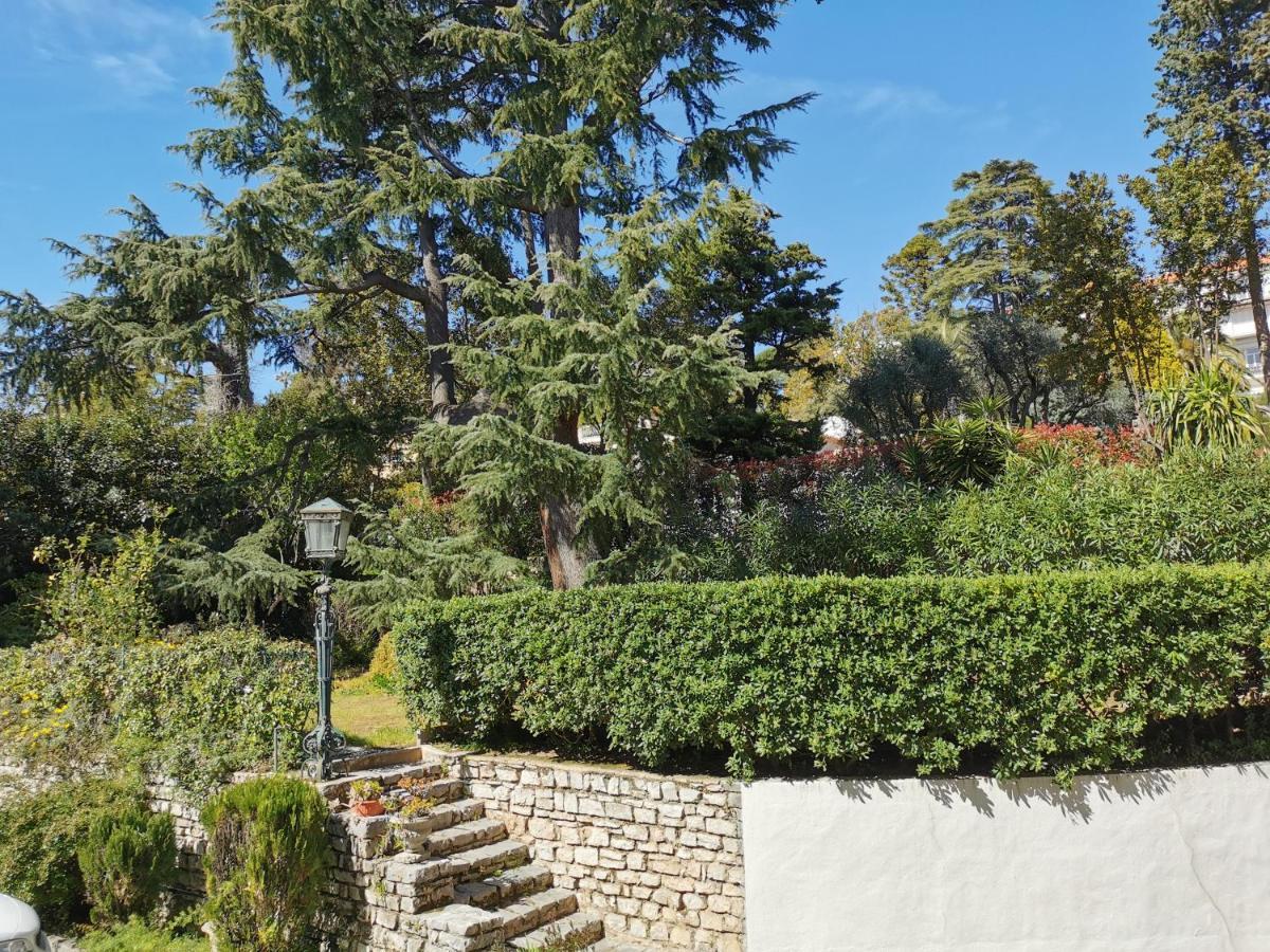 Sunset Loft Daire Cannes Dış mekan fotoğraf